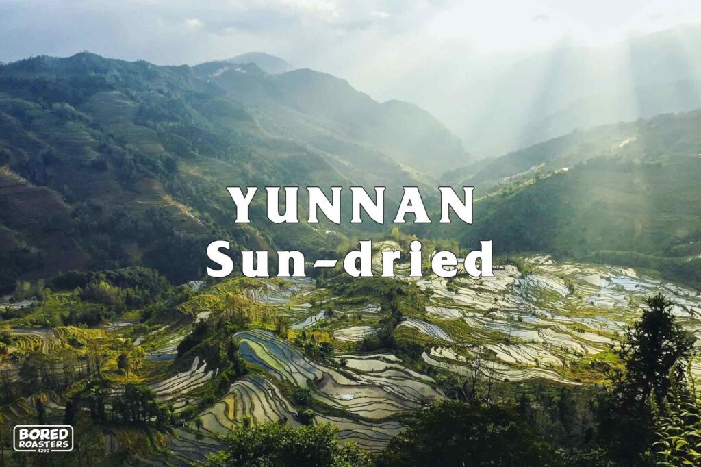 Bored Roasters Yunnan sun-dried cold brew coffee. This image os of terraced mountian sin Yunnan China